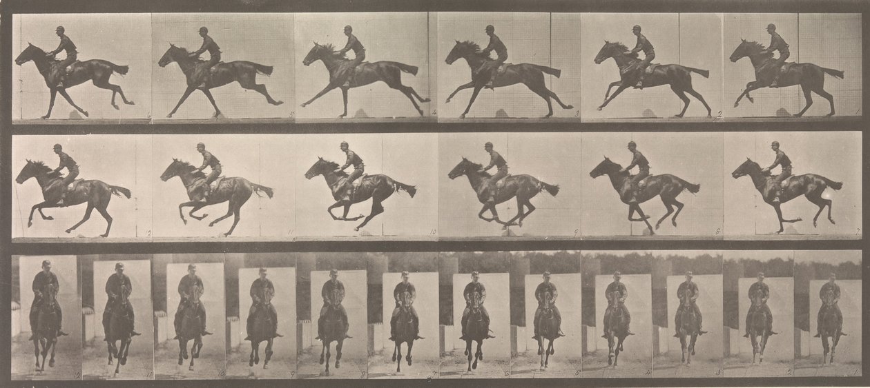 [Horse and Rider Laukkaa], 1883-86, painettu 1887. tekijältä Eadweard Muybridge