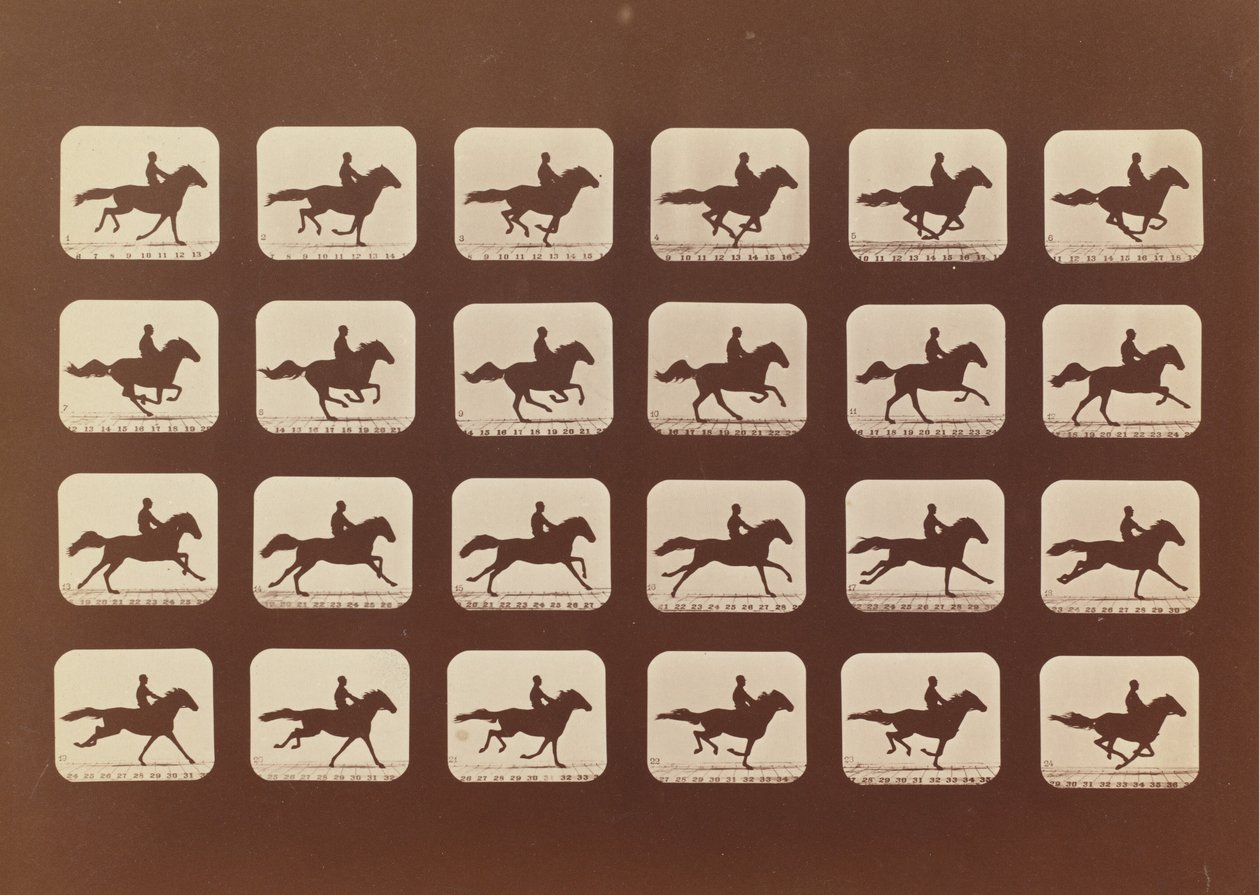 Hevoset. Juoksemassa. Phyrne L. nro 40, 1879. tekijältä Eadweard Muybridge