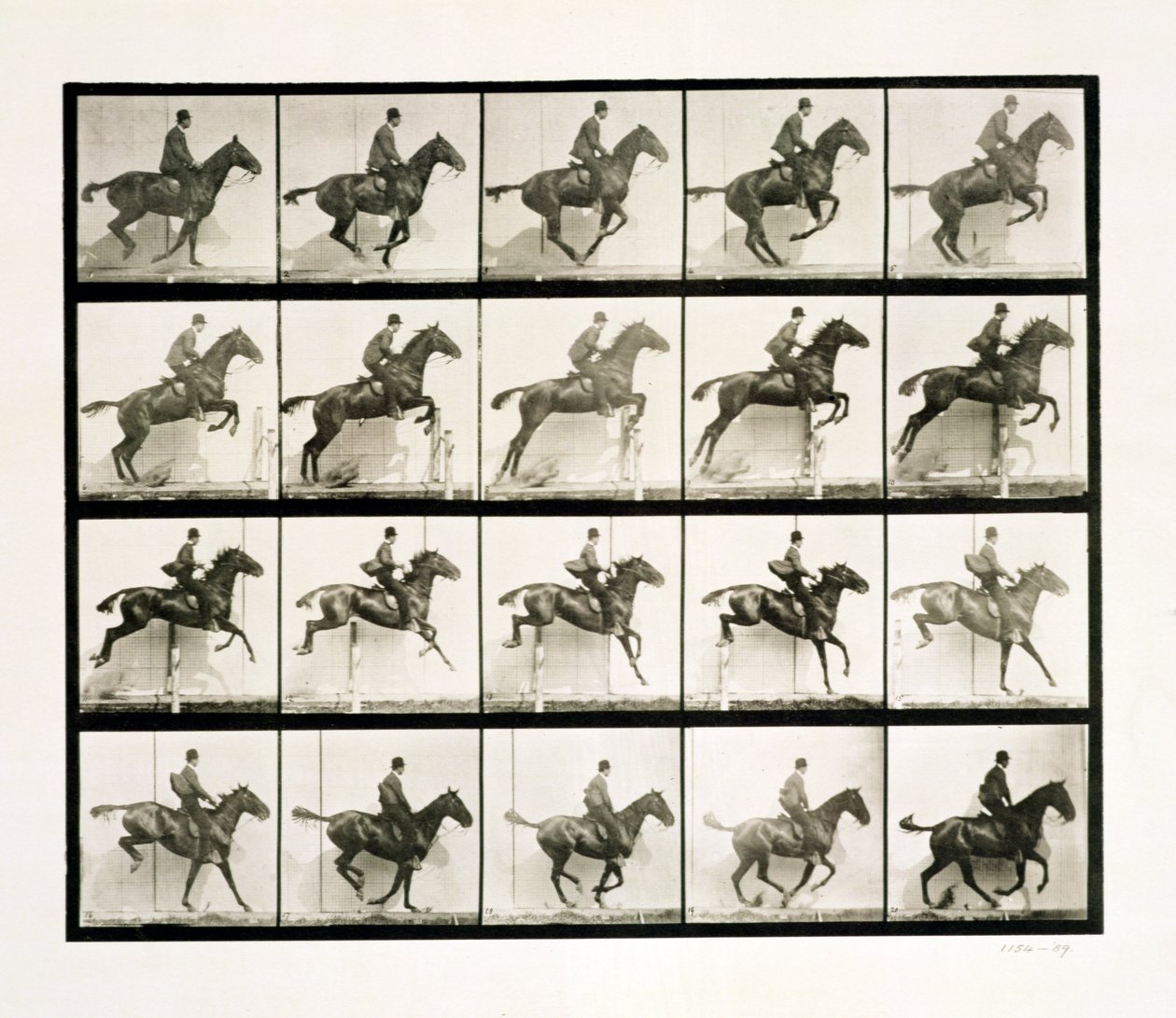 Mies ja hevonen hyppäämässä aidan yli, 1887 tekijältä Eadweard Muybridge