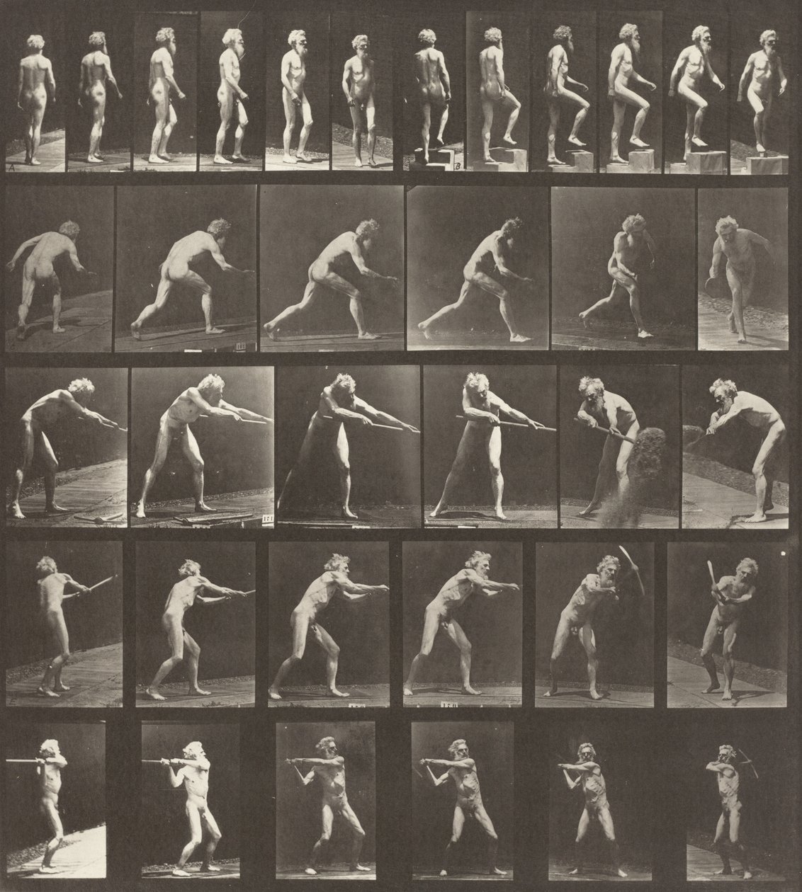 Kilven numero 521. A: Kävely. B: Askeleen nouseminen. C: Levyn heittäminen. D: Lapiolla..., 1887. tekijältä Eadweard Muybridge