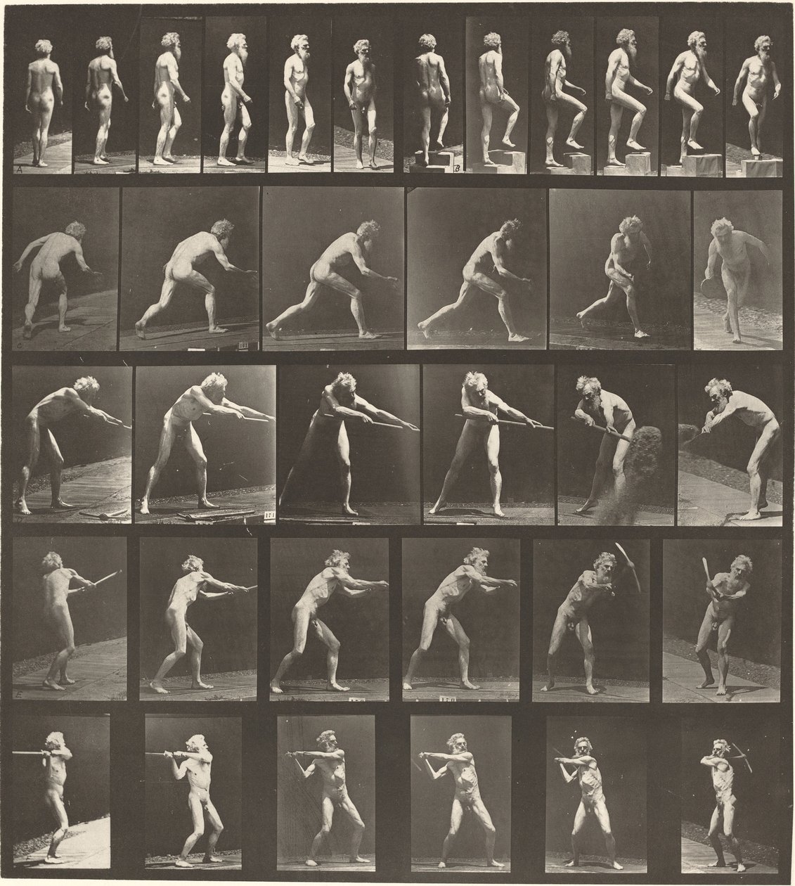 Kilven numero 521. A: Kävely. B: Nouseva askel. C. Heittolevy. D: Lapiolla..., 1887. tekijältä Eadweard Muybridge