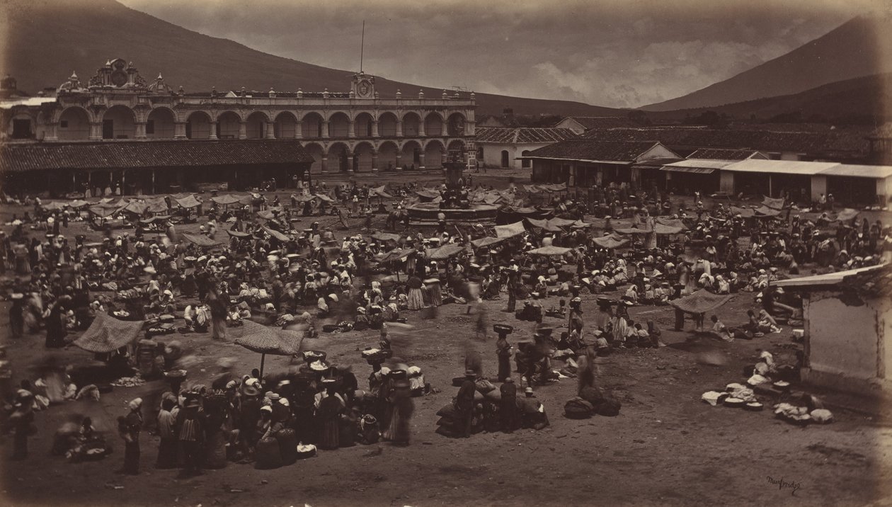 Plaza ja Viceroy