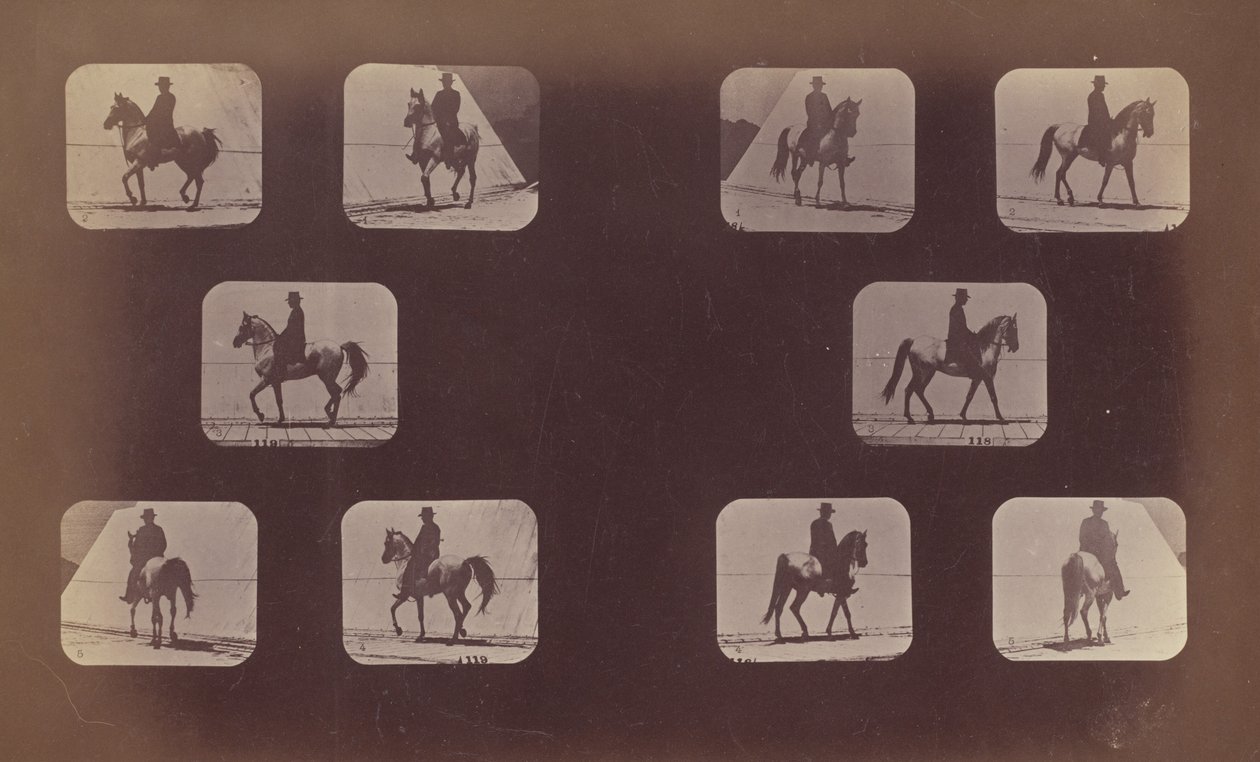 Ennalta lyhennyksiä koskevat tutkimukset. Hevoset. Kävely. Mahomet. No. 119-120, 1879. tekijältä Eadweard Muybridge
