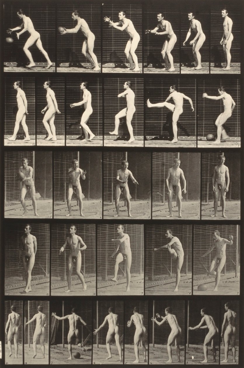 Eläinten liikkuminen (levy 300) (Mies potkii palloa) tekijältä Eadweard Muybridge