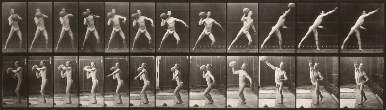 Eläinten liikkuminen (levy 319) (Mies heittää palloa) tekijältä Eadweard Muybridge