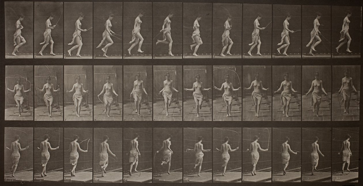 Eläinten liikkuminen, levy 174 tekijältä Eadweard Muybridge