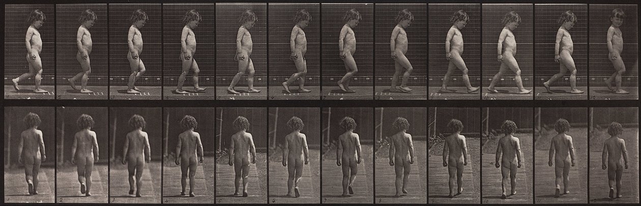 Eläinten liikkuminen, levy 467 tekijältä Eadweard Muybridge