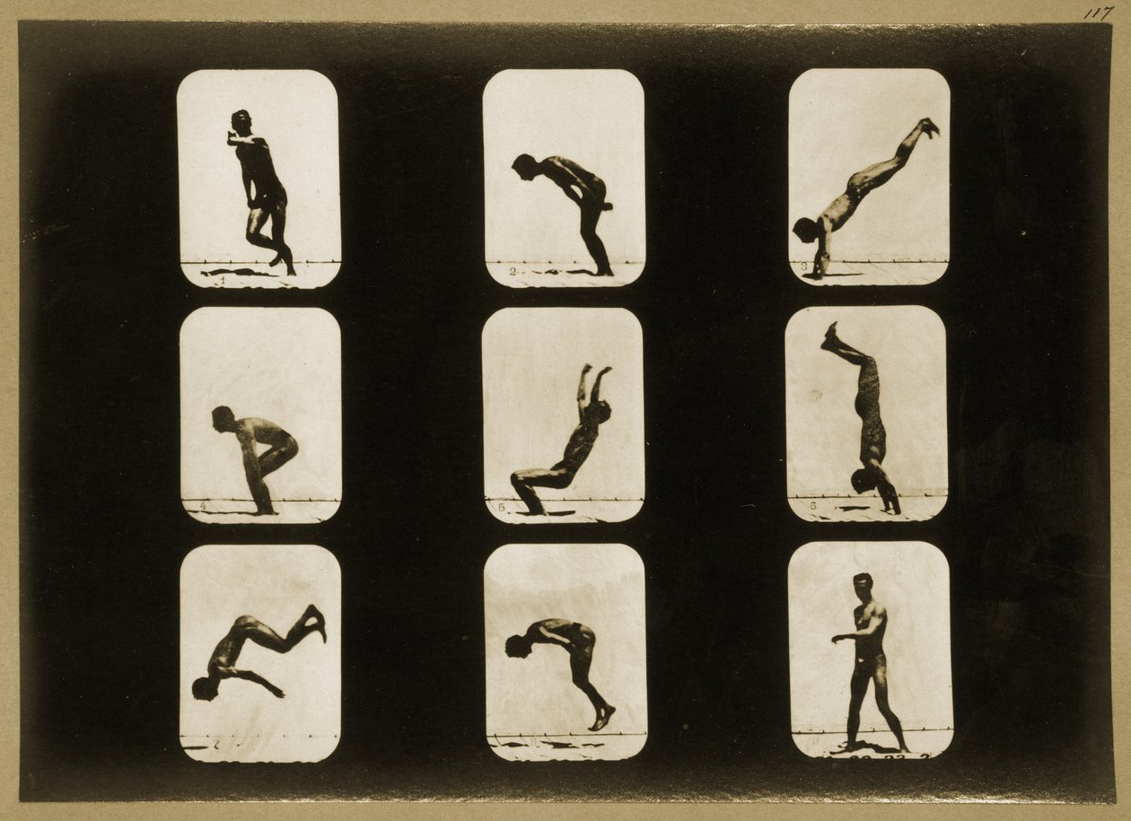 Urheilijat, irregular, "Animal Locomotion" -sarjasta, n. 1881 tekijältä Eadweard Muybridge