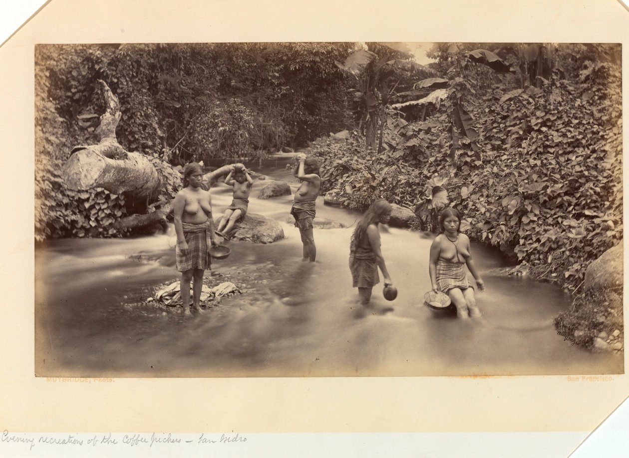 Kahvinpoimijoiden iltaharrastukset, San Isidro, Keski-Amerikan ja Meksikon Tyynenmeren rannikolta; Panaman kannakselta; Guatemalasta; ja kahvin viljelystä ja kuljetuksesta tekijältä Eadweard Muybridge