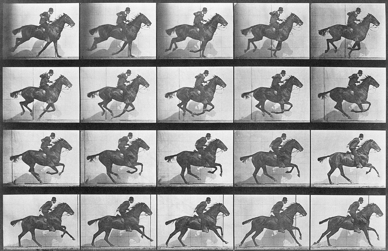 Laukkaa hevonen, levy 628 Animal Locomotionista, 1887 tekijältä Eadweard Muybridge