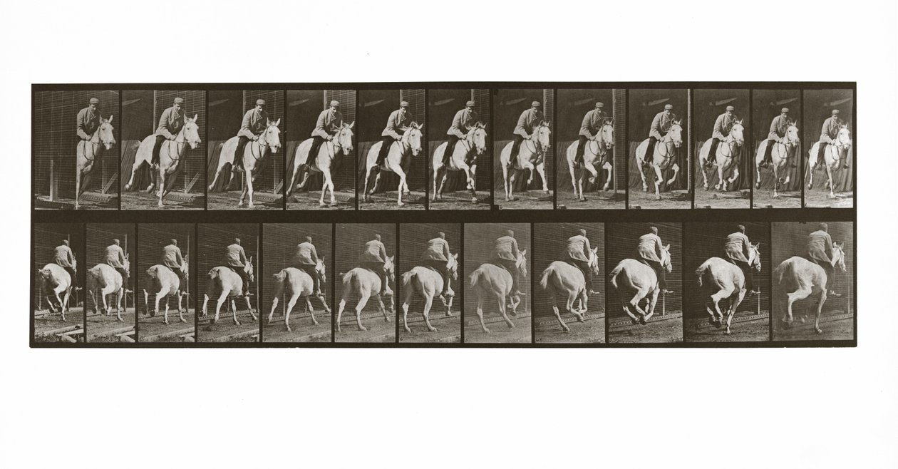 Ratsastava hevonen ja ratsastaja, levy 635 teoksesta Animal Locomotion, 1887. tekijältä Eadweard Muybridge
