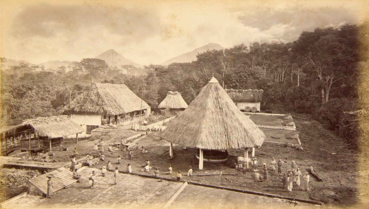 Hacienda William Nelson, San Isidro, Guatemala tekijältä Eadweard Muybridge