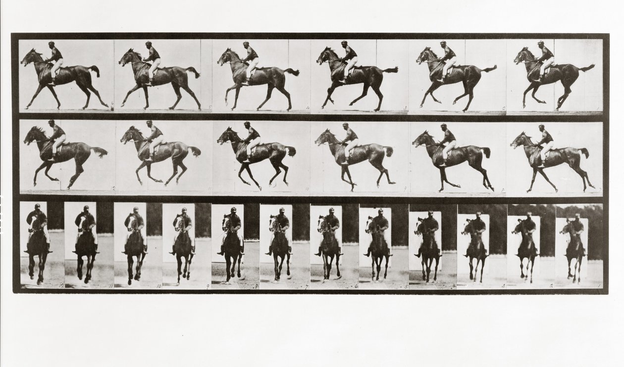 Hevonen ja ratsastaja, levy 621, Animal Locomotion, 1887 tekijältä Eadweard Muybridge