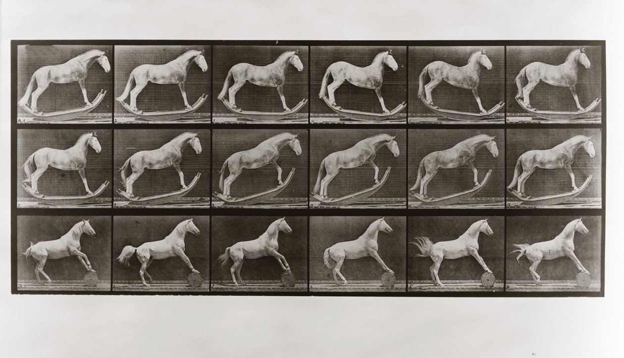 Horse on Rockers ja Horse Rolling a Barrel, levy 649, Animal Locomotion, 1887 tekijältä Eadweard Muybridge