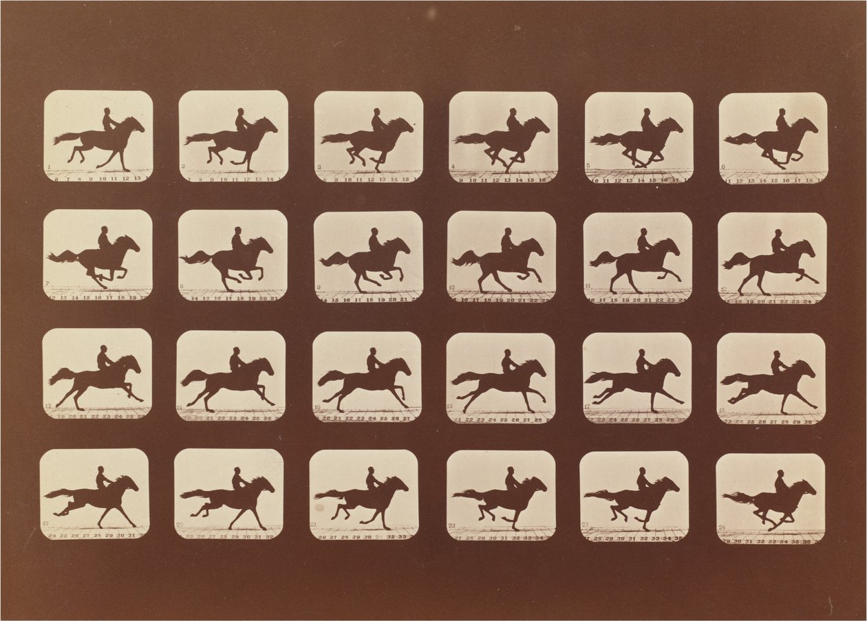 Hevoset. Juoksemassa. Phyrne L. nro 40 tekijältä Eadweard Muybridge