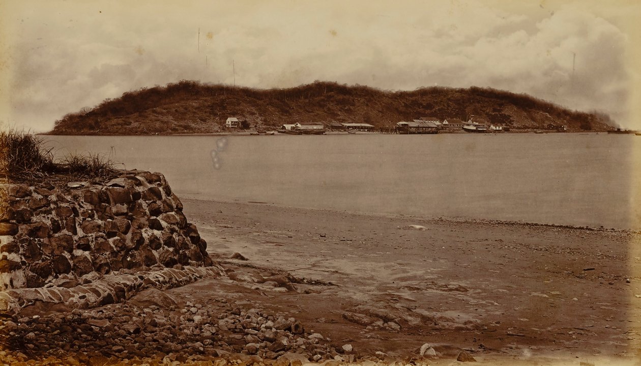 Naosin saari Pericosta, Panamanlahti tekijältä Eadweard Muybridge