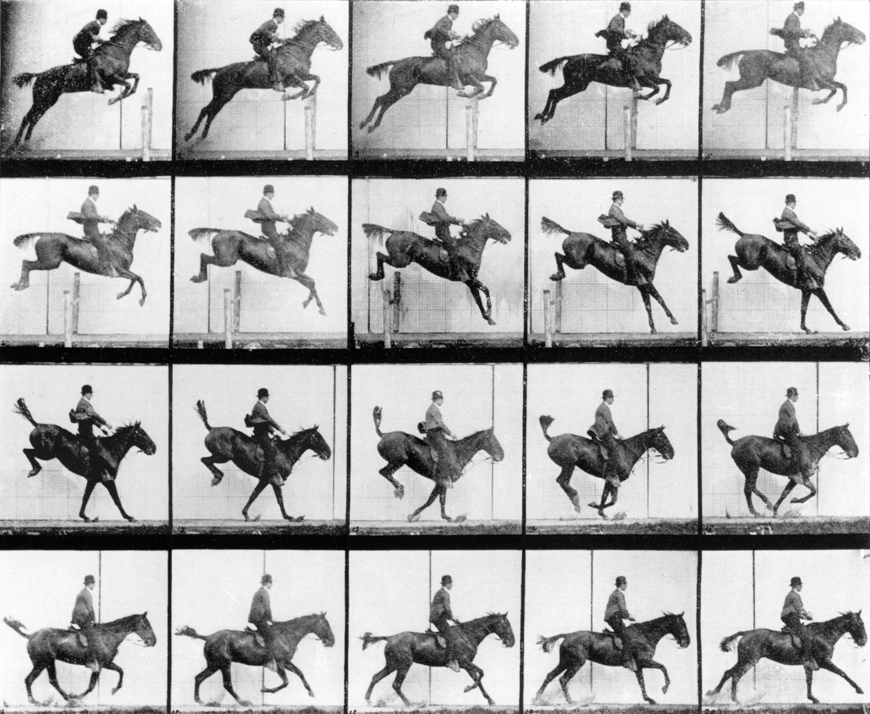Man and Horse jumping, Muybridgen, Lontoon "Animals in Motion" -julkaisusta, julkaistu 1907 tekijältä Eadweard Muybridge