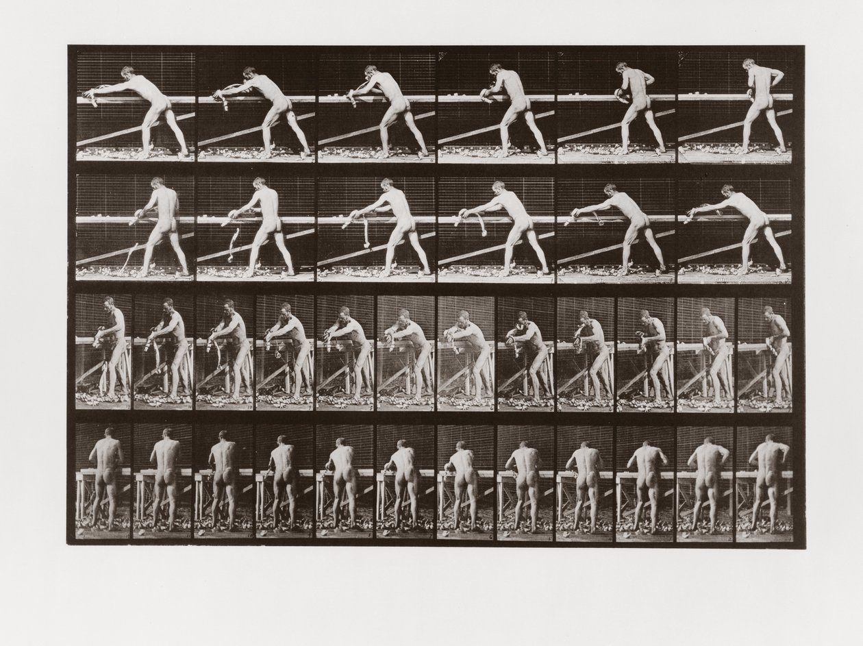 Mies höylää puuta, Animal Locomotionin levy 379, 1887 tekijältä Eadweard Muybridge