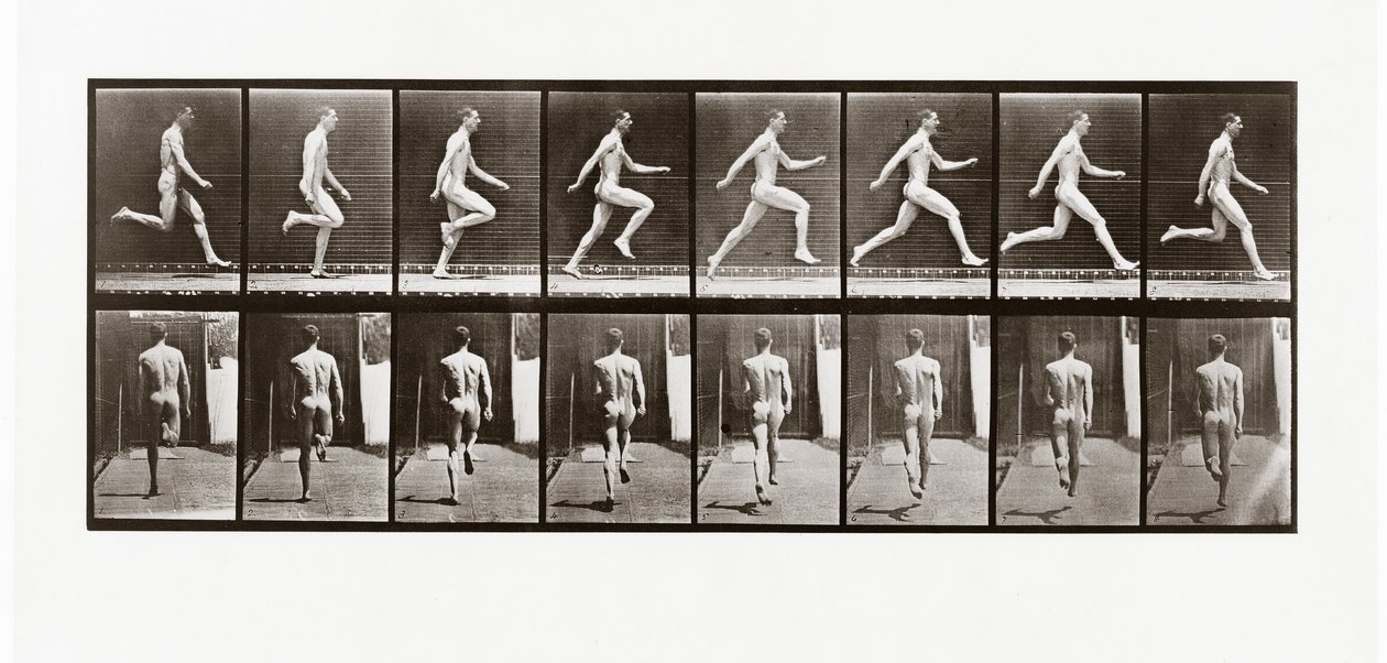 Mies juoksee, levy 65 Animal Locomotionista, 1887 tekijältä Eadweard Muybridge
