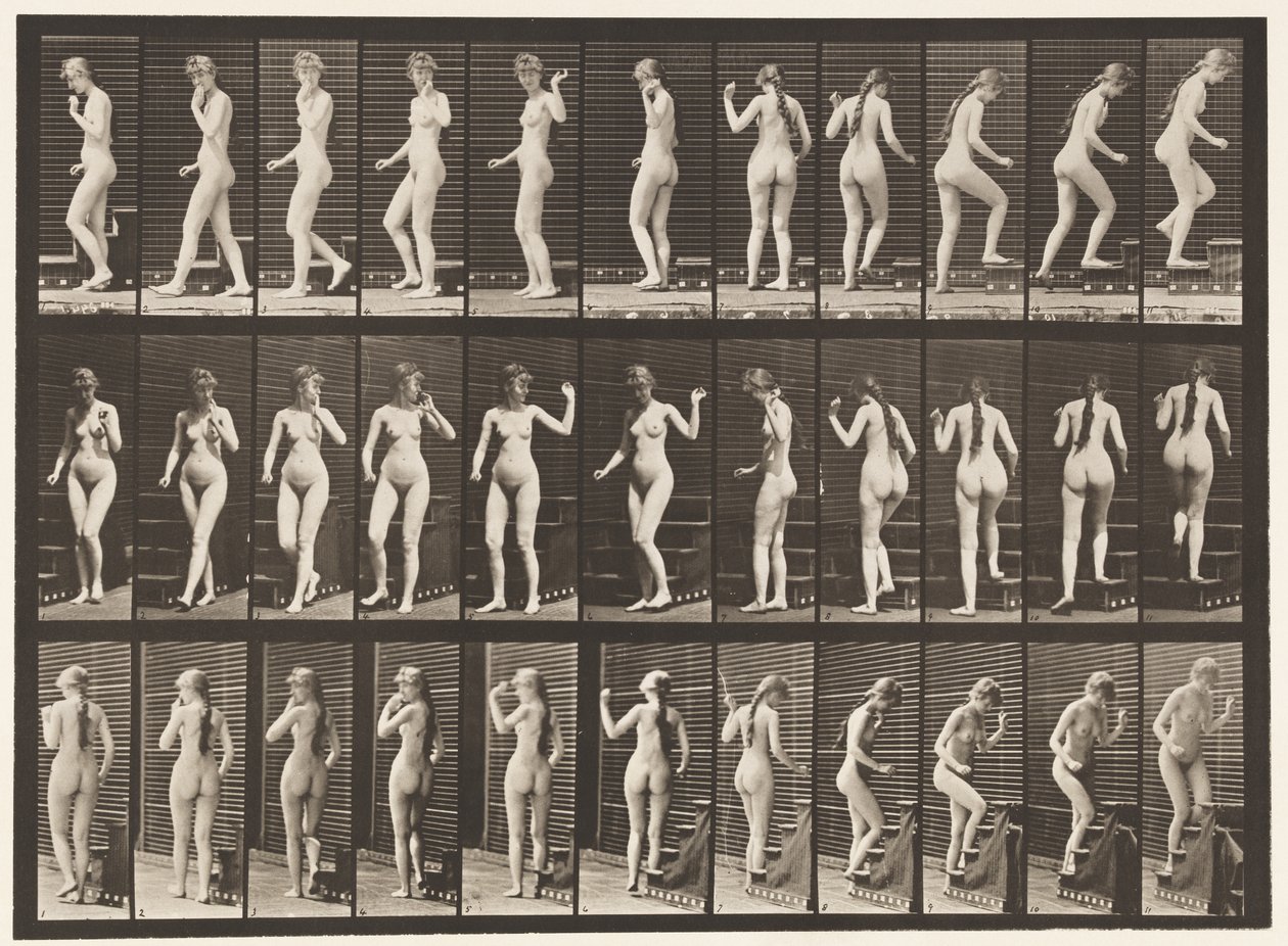 Levy 101. Kääntyvät ja nousevat portaat, heiluttava käsi, 1872-1885 tekijältä Eadweard Muybridge