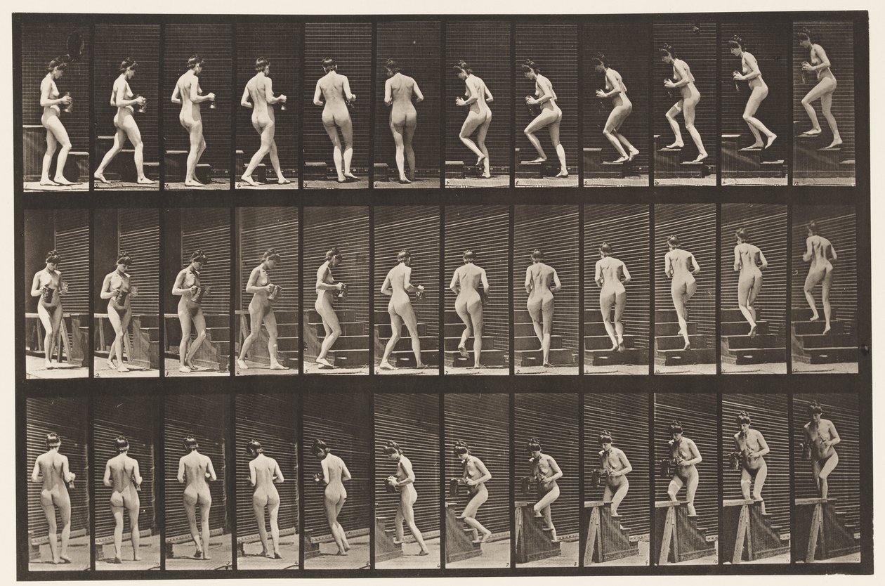 Levy 103. Kääntyvät ja nousevat portaat, kannu ja pikari käsissä, 1872-1885 tekijältä Eadweard Muybridge
