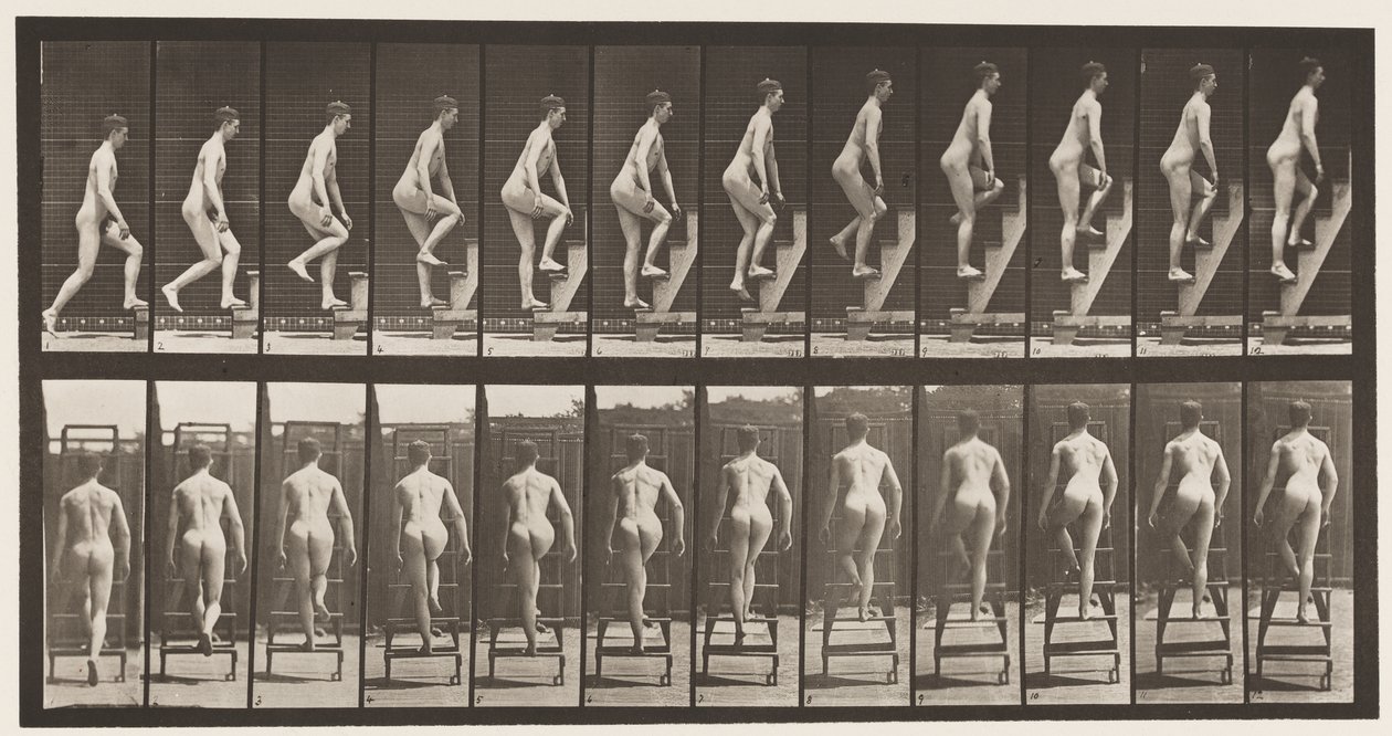 Levy 109. Nousevat tikkaat, 1872-1885 tekijältä Eadweard Muybridge