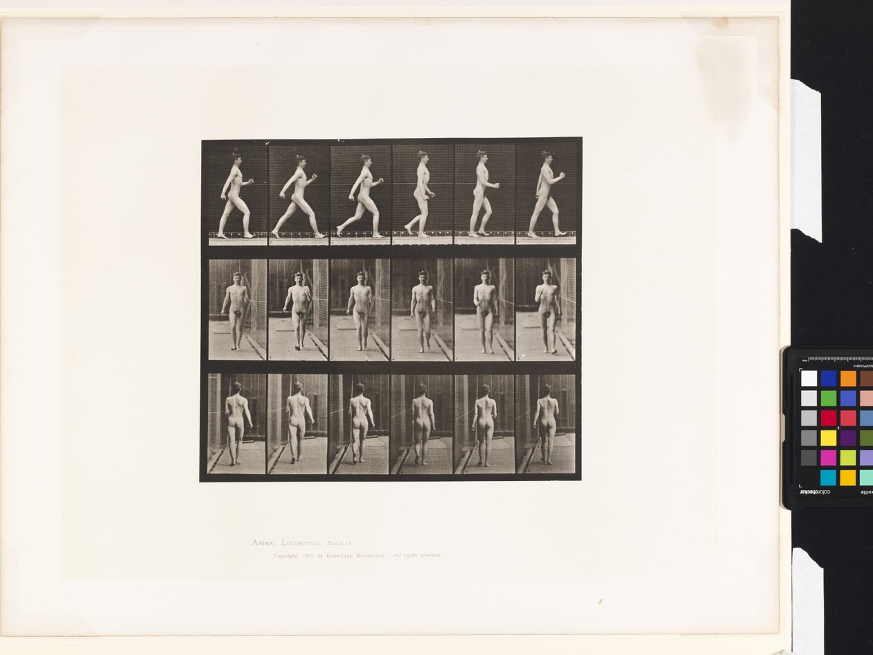 Lauta 10. Kävely tekijältä Eadweard Muybridge