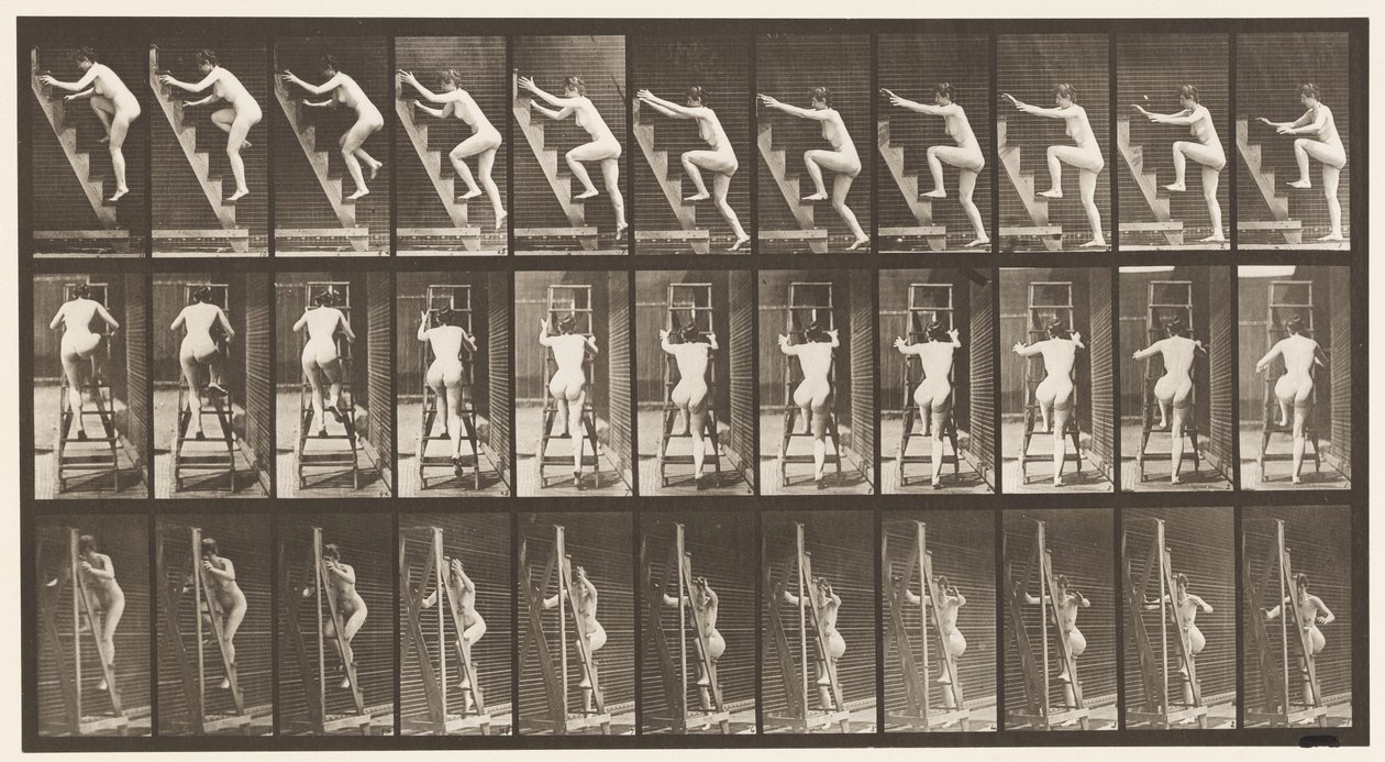Levy 110. Nousevat tikkaat, kaksi askelta kerrallaan tekijältä Eadweard Muybridge