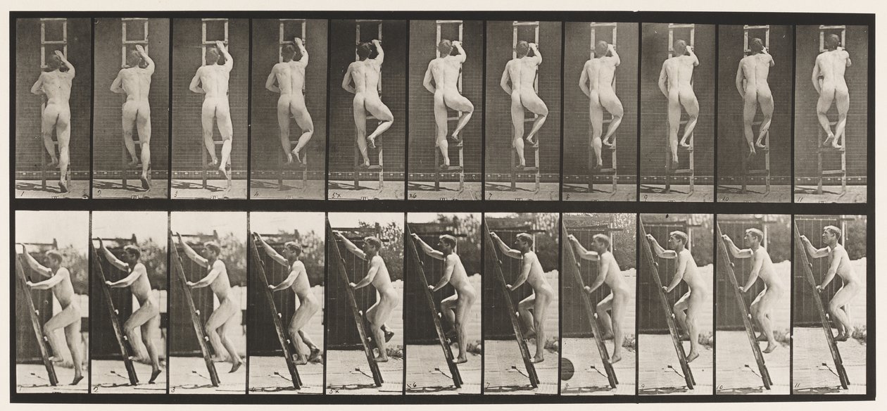 Levy 111. Nousevat tikkaat tekijältä Eadweard Muybridge