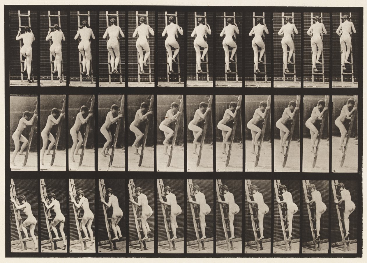 Levy 112. Nousevat tikkaat tekijältä Eadweard Muybridge