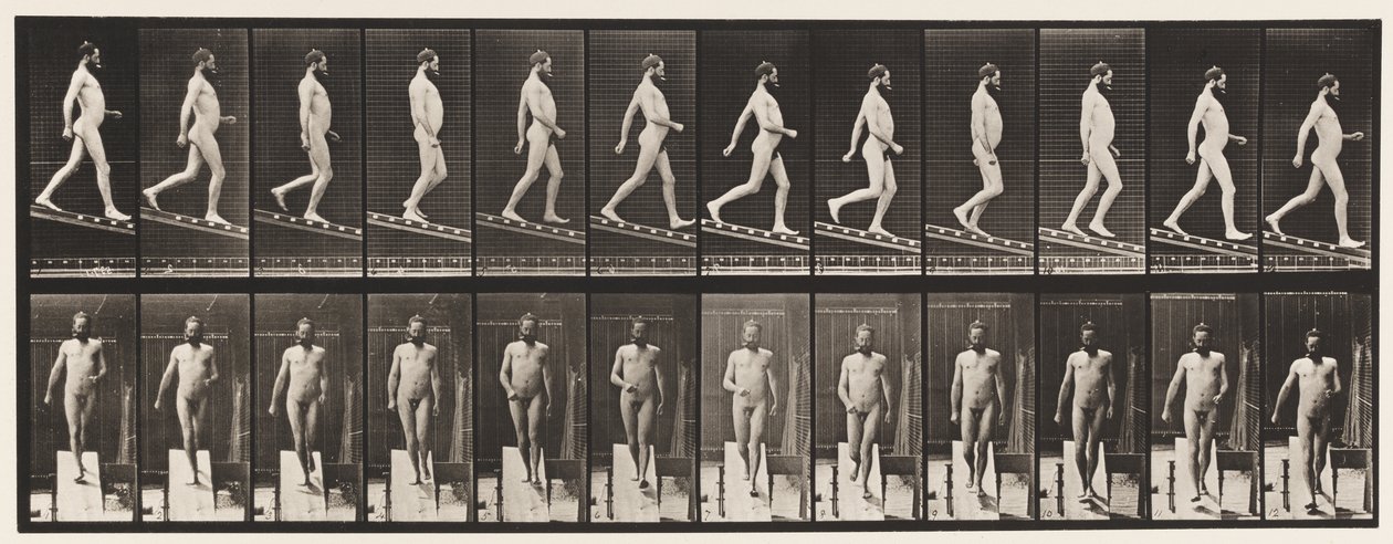 Levy 113. Laskeva kaltevuus, 1:4, 1872-1885 tekijältä Eadweard Muybridge