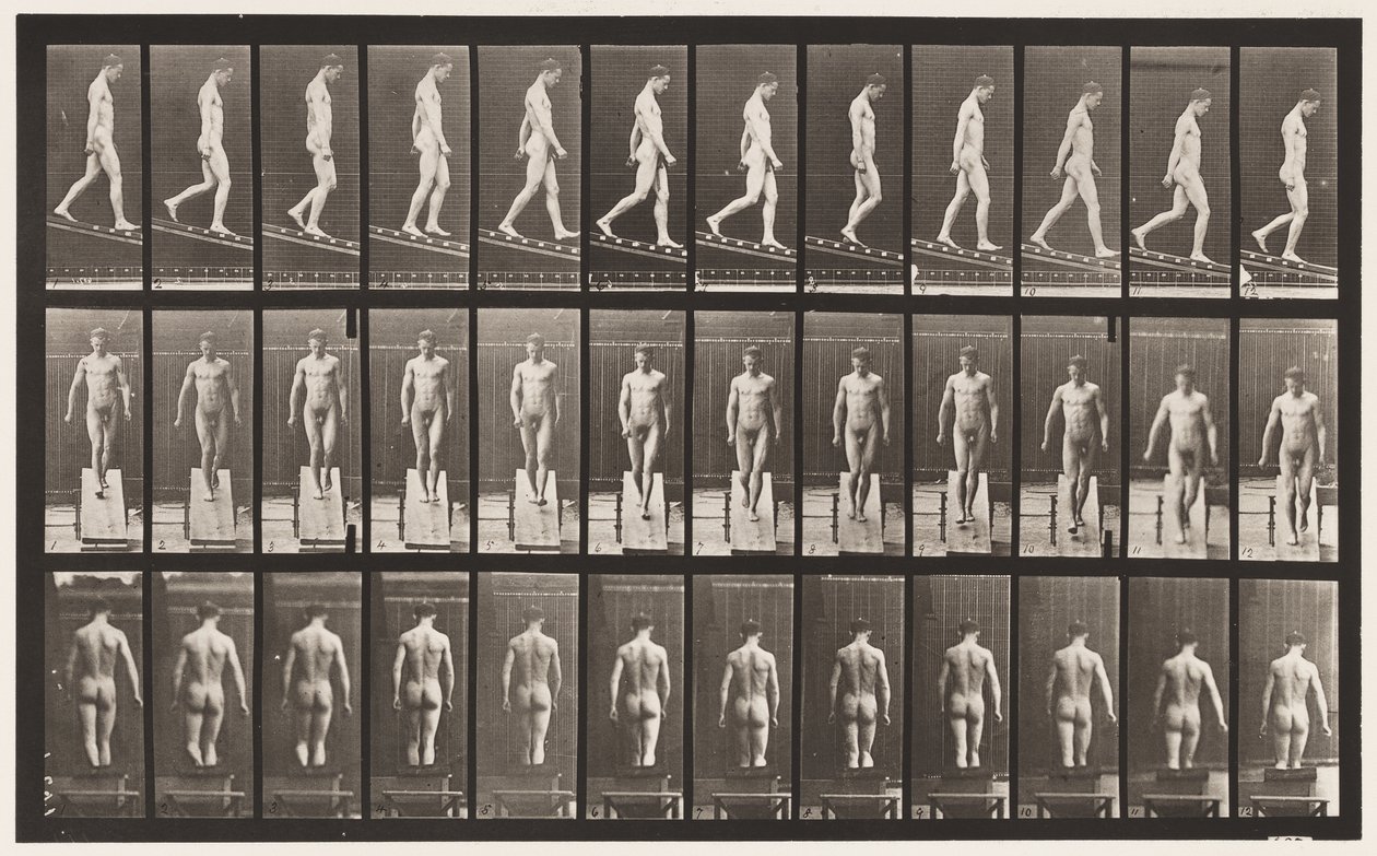 Levy 114. Laskeva kaltevuus, kulma 1 in 4, 1872-1885 tekijältä Eadweard Muybridge