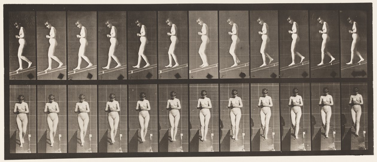 Levy 115. Laskeva kaltevuus kädet ristissä edessä tekijältä Eadweard Muybridge
