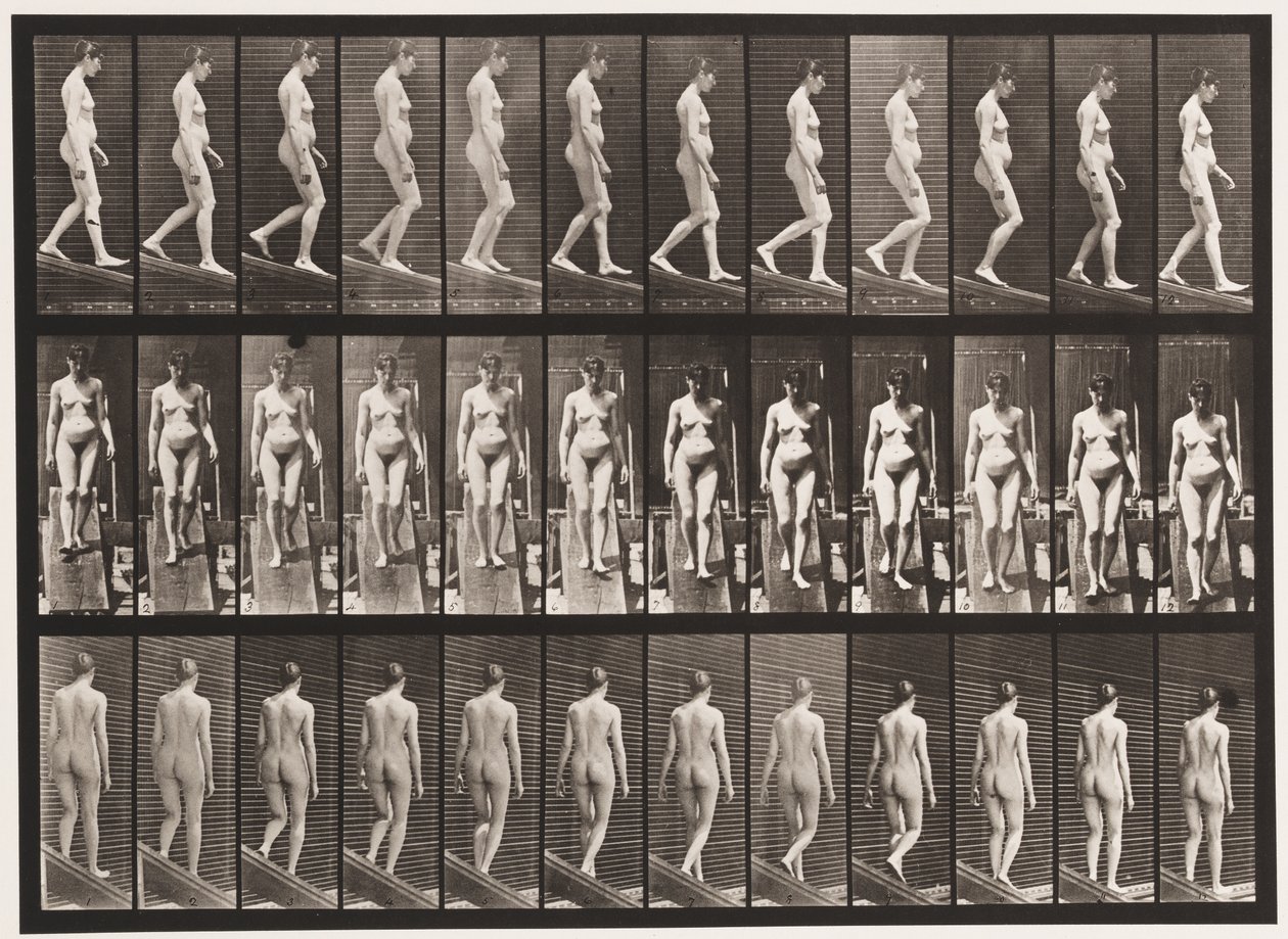 Levy 117. Laskeva kaltevuus, 1872-1885 tekijältä Eadweard Muybridge
