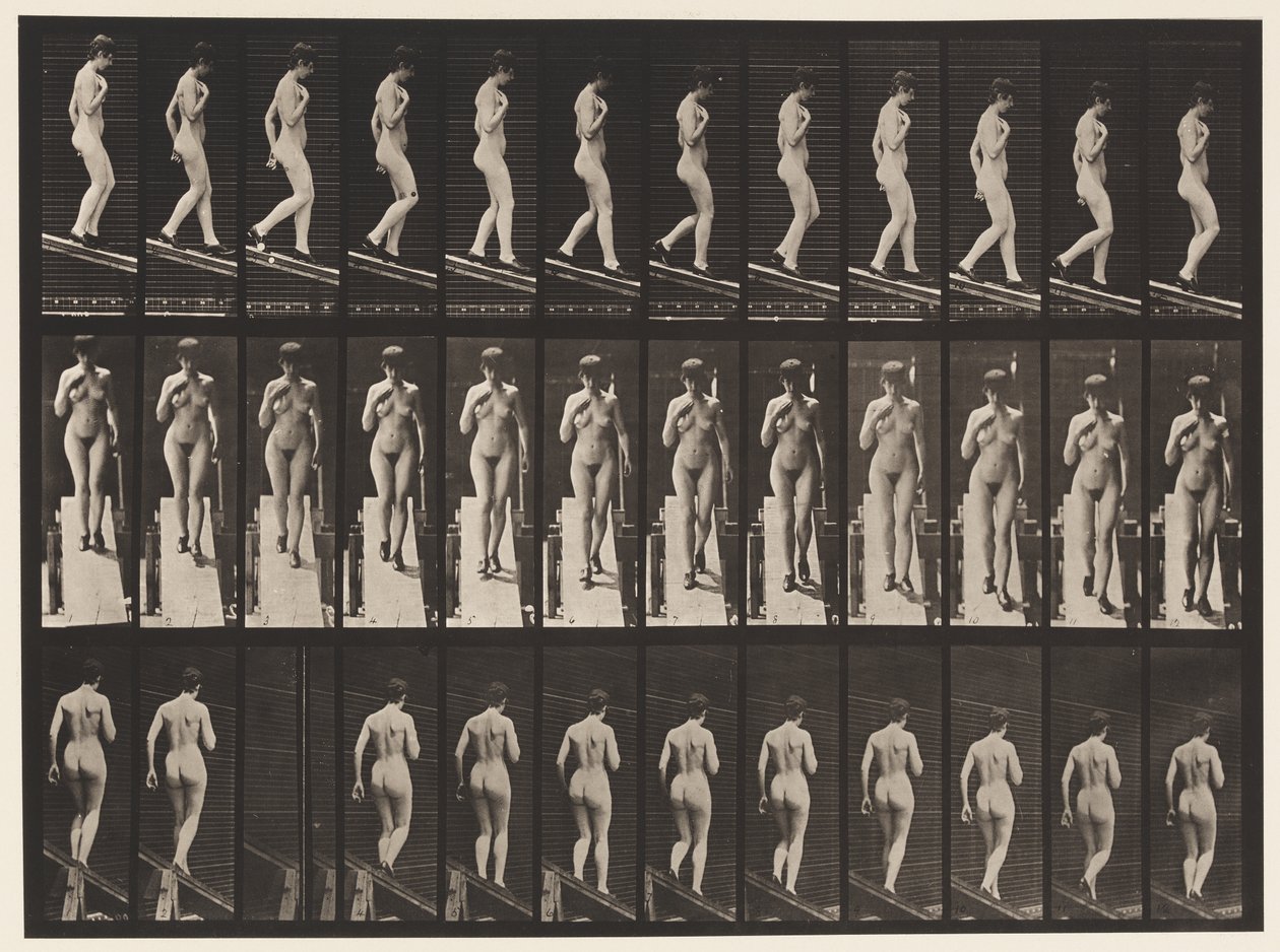Kilpi 119. Laskeva kaltevuus, oikea käsi rinnassa (kengät) tekijältä Eadweard Muybridge