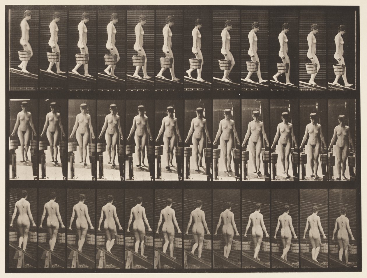 Levy 122. Laskeva kaltevuus, vesiämpäri kummassakin kädessä, 1872-1885 tekijältä Eadweard Muybridge