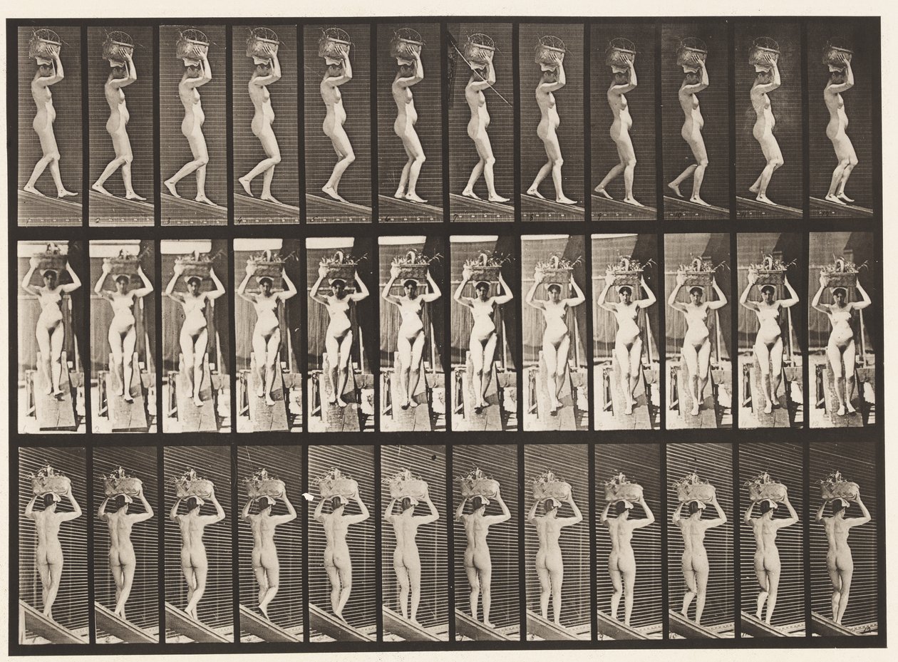 Levy 123. Laskeva kaltevuus, 20 lb:n kori pään päällä, kädet kohotettuina, 1872-1885 tekijältä Eadweard Muybridge