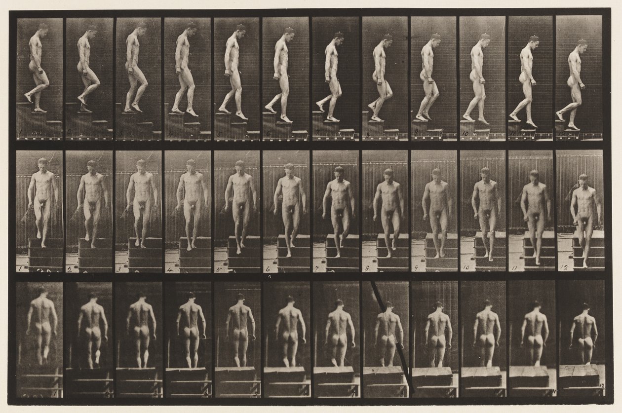 Levy 125. Laskevat portaat tekijältä Eadweard Muybridge