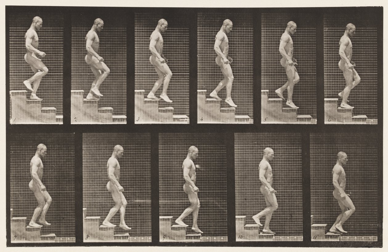 Levy 126. Laskevat portaat tekijältä Eadweard Muybridge