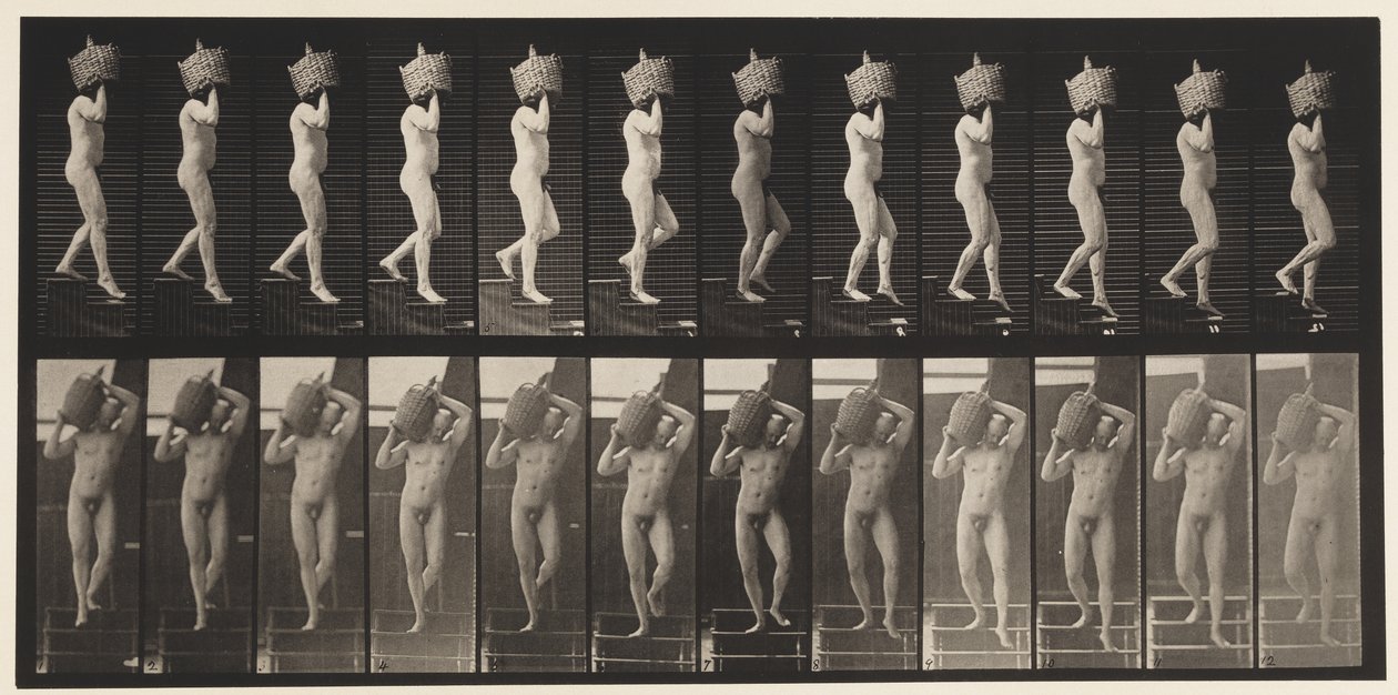Levy 136. Laskevat portaat Full Demijohn olalla, 1872-1885 tekijältä Eadweard Muybridge