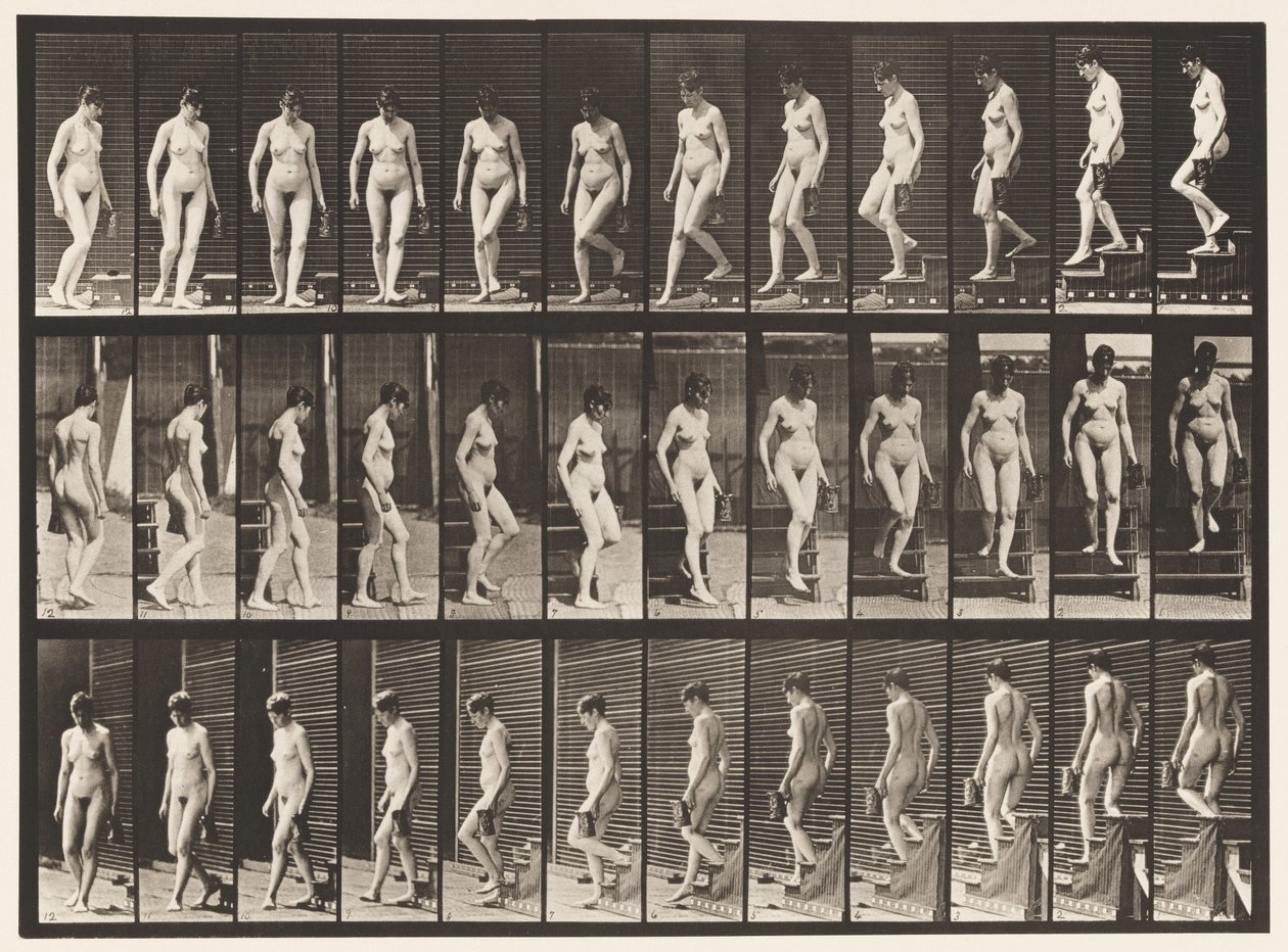 Levy 138. Laskevat portaat kääntyvät; Kannu vasemmassa kädessä tekijältä Eadweard Muybridge