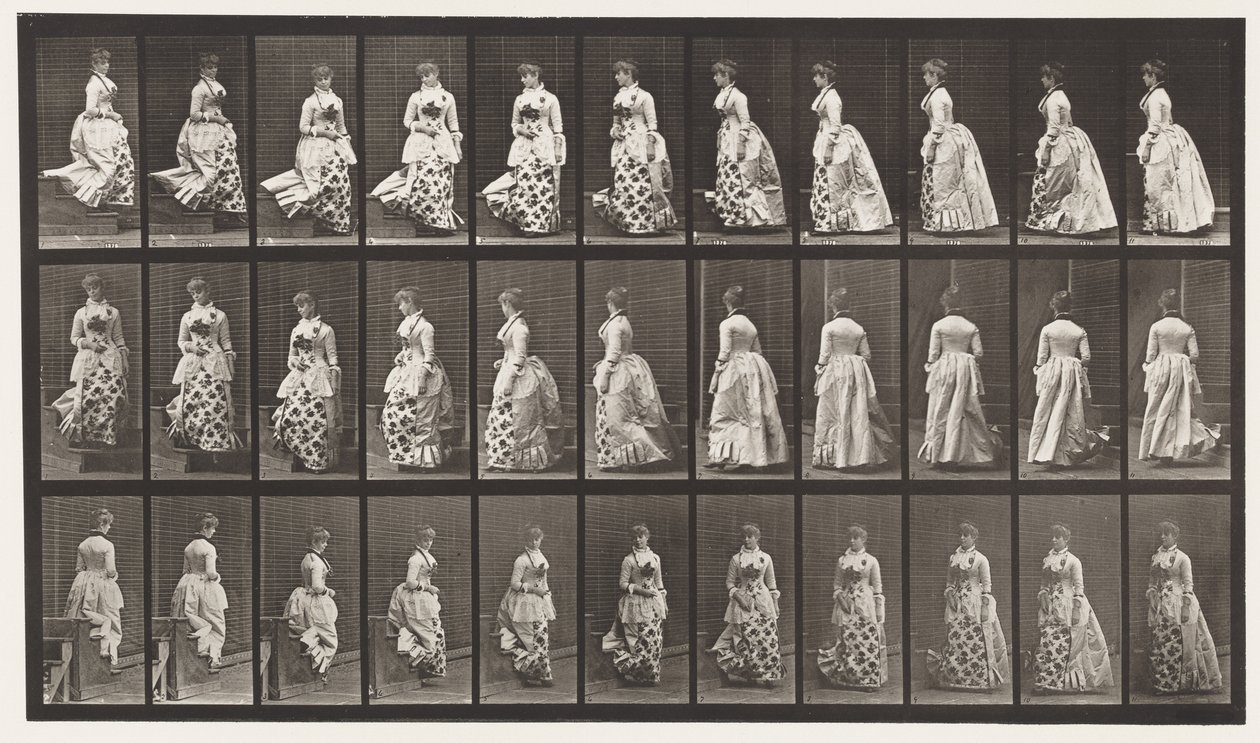 Levy 139. Alaspäin kääntyvät portaat, 1885 tekijältä Eadweard Muybridge