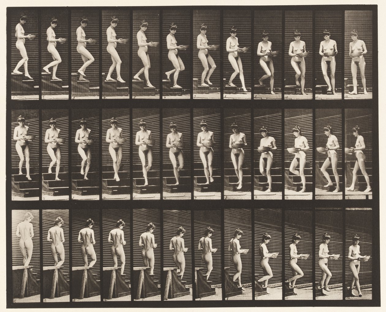 Levy 144. Laskevat portaat; Kääntöallas käsissä tekijältä Eadweard Muybridge