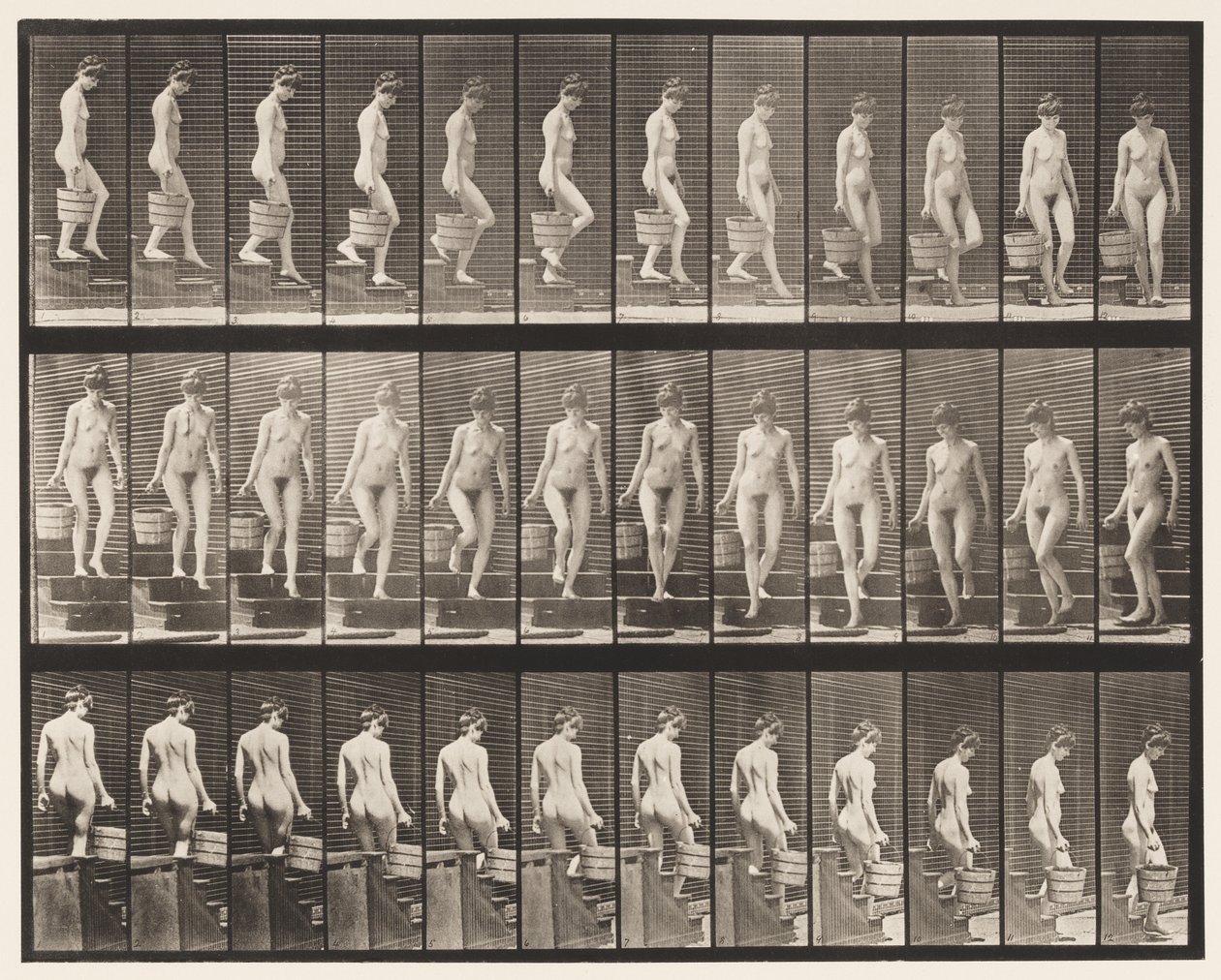 Levy 145. Laskevat portaat; Veden kääntäminen oikealla kädellä, 1872-1885 tekijältä Eadweard Muybridge