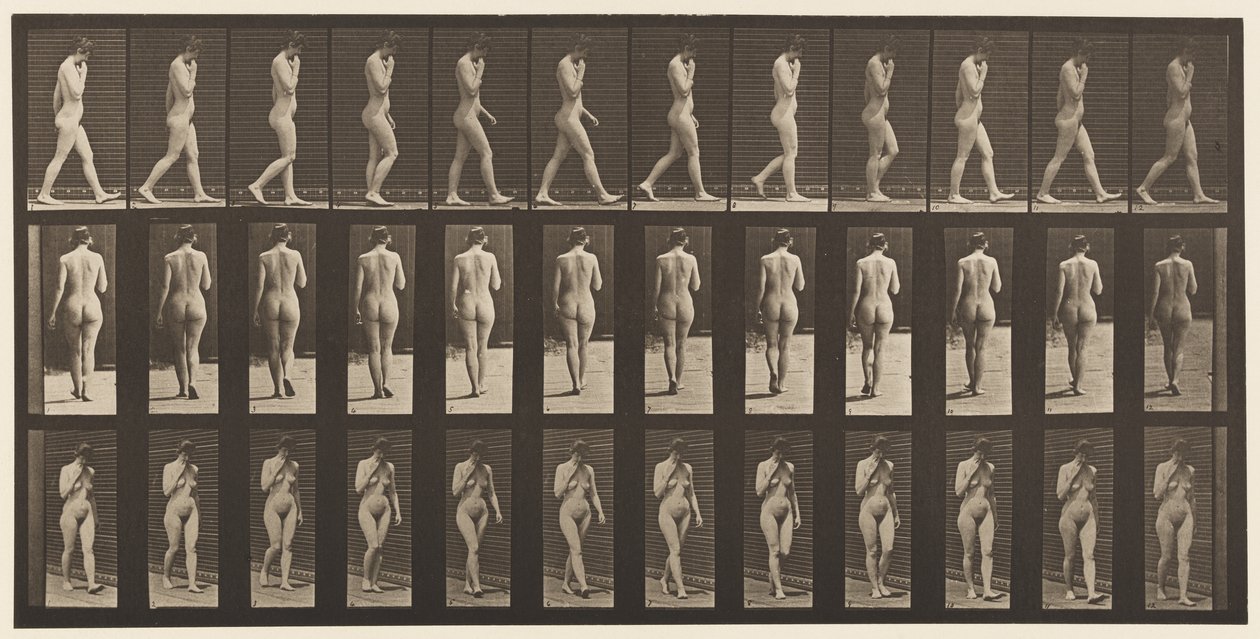 Levy 14. Kävely, oikea käsi leuassa, 1872-1885 tekijältä Eadweard Muybridge