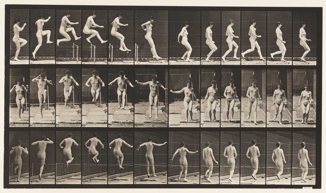 Levy 155. Hyppy, juoksu, suora korkeushyppy tekijältä Eadweard Muybridge