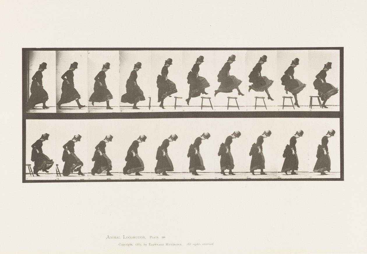 Levy 156. Hyppy; Suoran korkeushypyn juoksu, 1885 tekijältä Eadweard Muybridge
