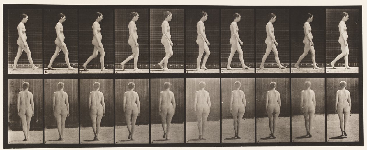 Lauta 15. Kävely tekijältä Eadweard Muybridge