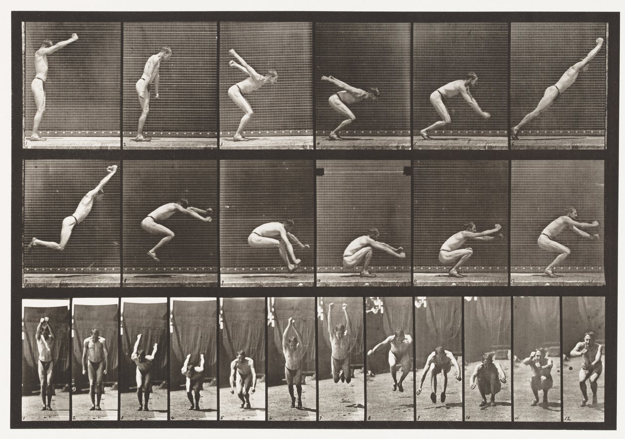 Levy 163. Hyppy; Pysyvä leveä hyppy, 1872-1885 tekijältä Eadweard Muybridge