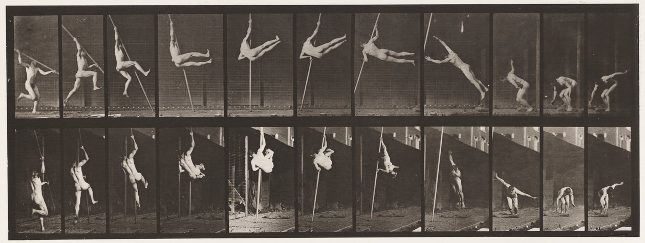Levy 164. Hyppy; Seivähyppy, 1872-1885 tekijältä Eadweard Muybridge